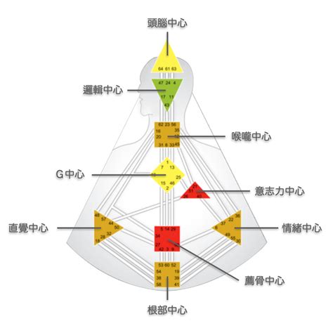 人類圖解說|人類圖怎麼看？看懂自己人類圖設計的完整大補帖！